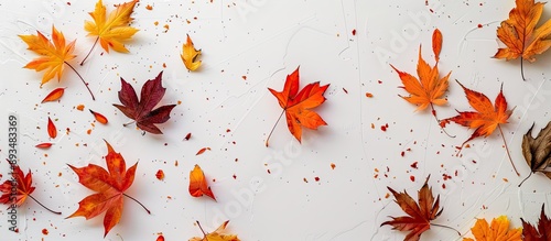 Top view of multicolored autumn leaves isolated on a white background with a falling orange leaf and copy space image for an autumn themed background