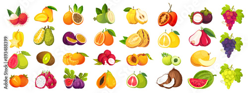 Set of fruits.Tropical fruit papaya,passion fruit,mango,jackfruit,grapes.Vector illustration.