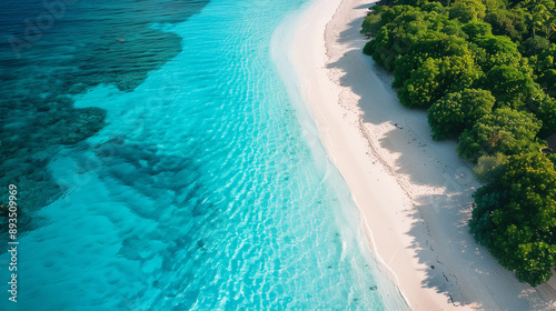aerial view of beach