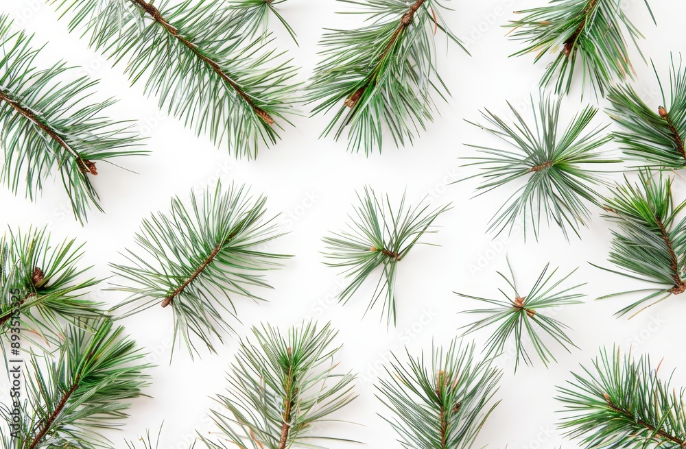 Isolated dry grass leaves, organic texture, top view, white background Isolated dry grass leaves, organic texture, top view, white background