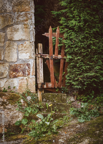 old wooden door with green bush