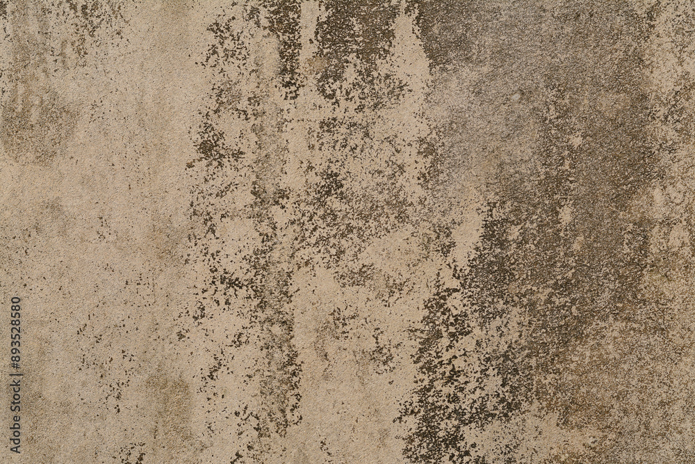 Obraz premium The old surface of time
