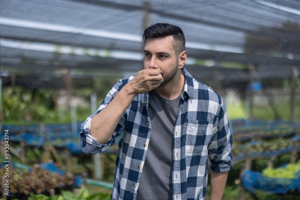 Organic Farmer Inspecting Lettuce and Soil Condition Organic Farmer Inspecting Lettuce and Soil Condition