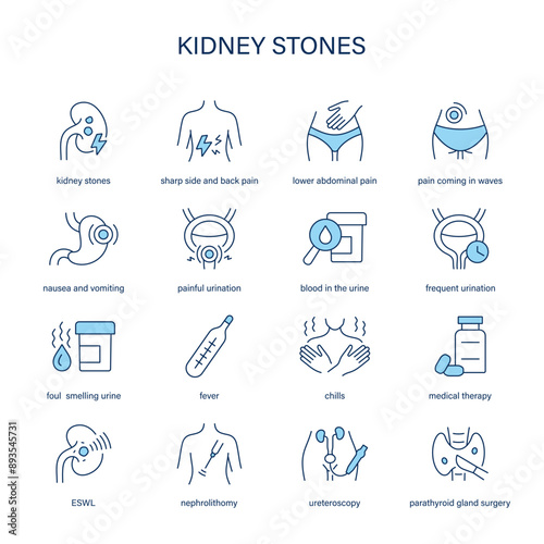 Kidney Stones symptoms, diagnostic and treatment vector icons. Medical icons.
