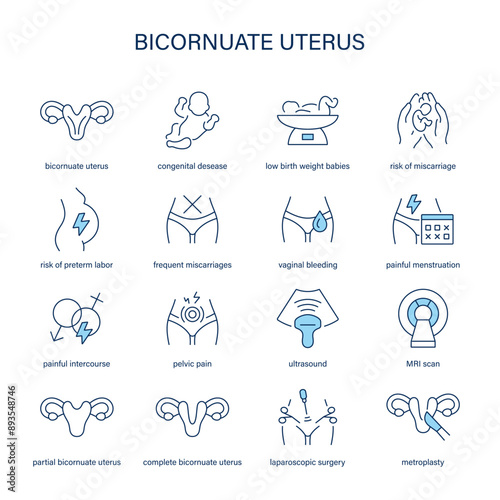Bicornuate Uterus symptoms, diagnostic and treatment vector icons. Medical icons.
