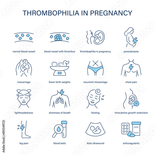 Thrombophilia in Pregnancy symptoms, diagnostic and treatment vector icons. Medical icons.