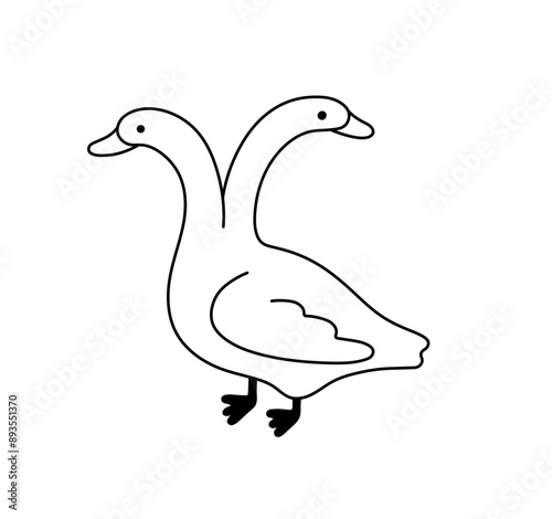 Vector isolated two headed mutant goose duck tattoo colorless black and white contour line easy drawing