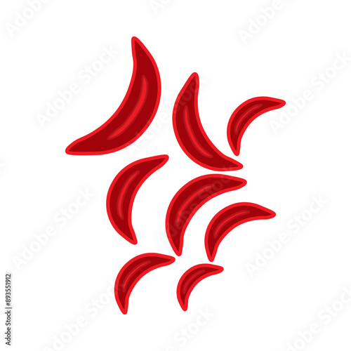 Sickle blood cell 