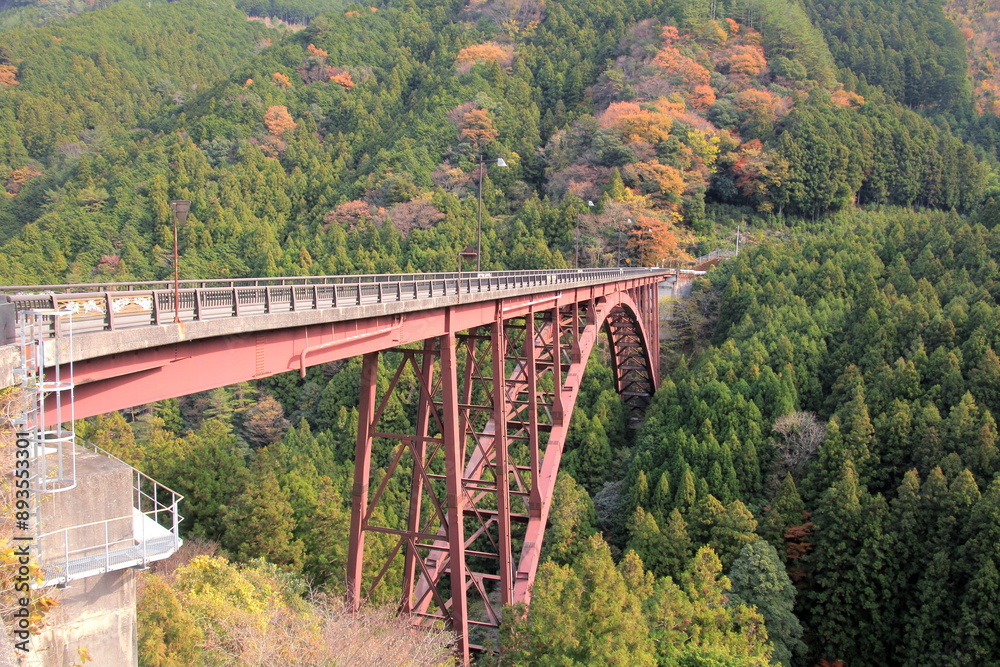 愛媛県四国中央市 赤い橋梁 藤原大橋 愛媛県四国中央市 赤い橋梁 藤原大橋