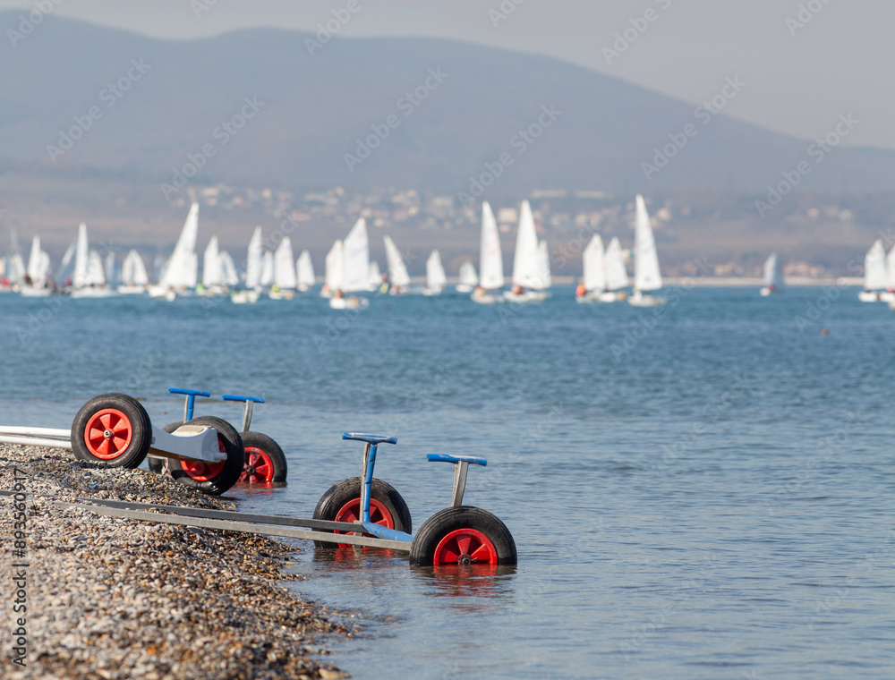 sailing regatta in sea