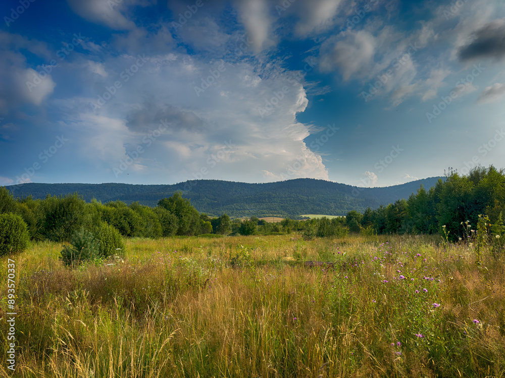 The landscape of Carpathian Mountains in the cloudy weather. Perfect weather condition in the summer season The landscape of Carpathian Mountains in the cloudy weather. Perfect weather condition in the summer season