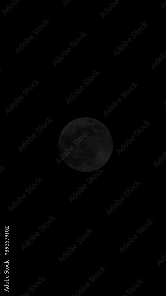The full moon is blocked by the shadow of a tree The full moon is blocked by the shadow of a tree