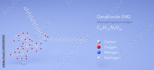 ganglioside gm2 molecule, molecular structure, glycosphingolipid antigen, 3d model, Structural Chemical Formula and Atoms with Color Coding photo