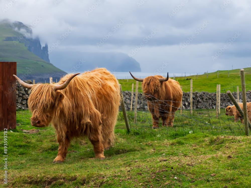 Faroe Island Faroe Island