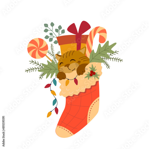 Funny sleeping cat in a Christmas stocking among gift box, garland, lollipops, fir branches and sweets. Happy holiday New Year card. Nice winter print isolated on a white background. 