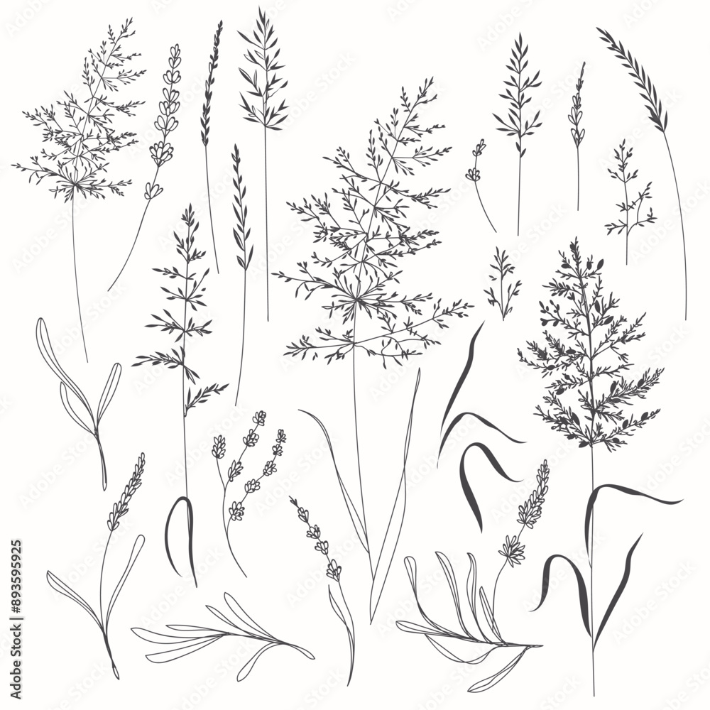 Collection of vector rustic hand drawn herbs and plants, elegant style, logo, wedding design