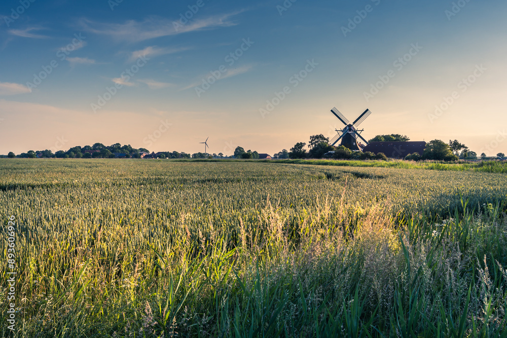 View over fields to the Seriemer Mill, traditional windmill in rural landscape, Neuharlingersiel, East Frisia, Lower Saxony, Germany View over fields to the Seriemer Mill, traditional windmill in rural landscape, Neuharlingersiel, East Frisia, Lower Saxony, Germany