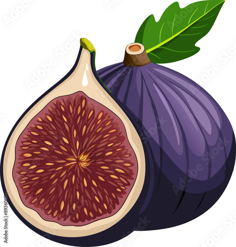 Fresh Fig on White Background - High-Res EPS