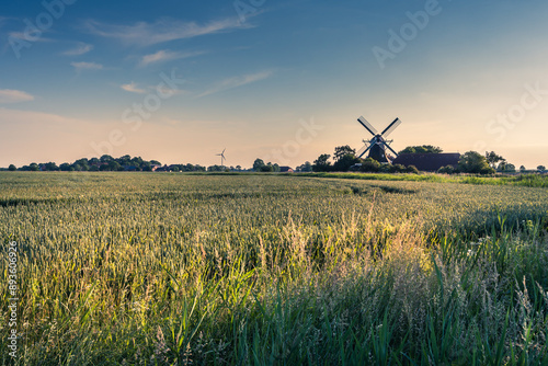 View over fields to the Seriemer Mill, traditional windmill in rural landscape, Neuharlingersiel, East Frisia, Lower Saxony, Germany photo