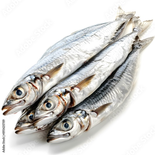 Fresh Fish on a White Background