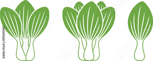 Bok choy  logo. Isolated bok choy on white background