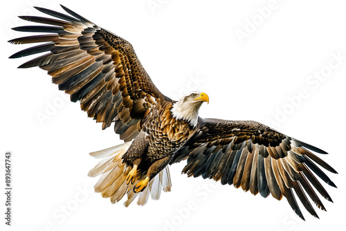 Majestic Bald Eagle Flying Isolated on Transparent