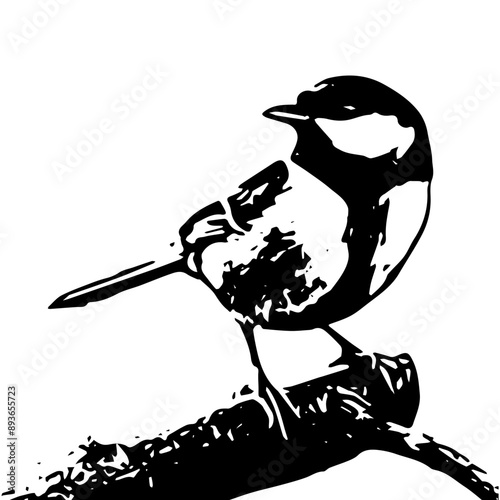 Great tit on a branch, vector illustration