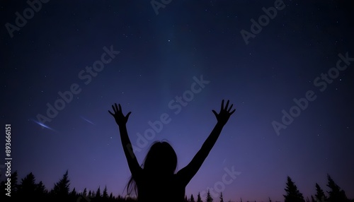 Silhouette Against Starry Night Sky and Aurora