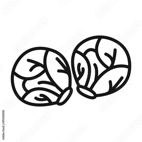 Brussels sprouts Cabbage icon Black line art vector logo