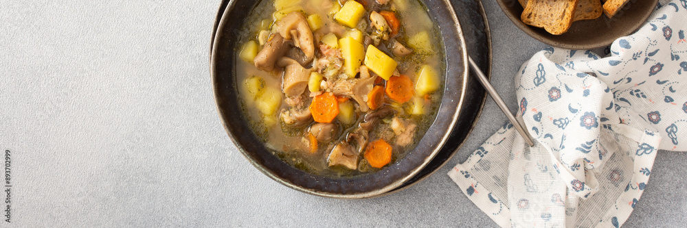 Oyster mushroom soup in plates, soup made from Pleurotus mushrooms and potatoes, carrots and spices, top view, copy space, banner Oyster mushroom soup in plates, soup made from Pleurotus mushrooms and potatoes, carrots and spices, top view, copy space, banner