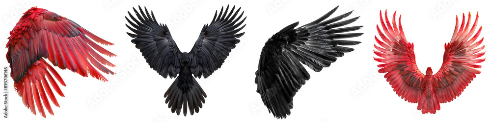 Collection of black and red pride wings isolated on transparent or white background Collection of black and red pride wings isolated on transparent or white background