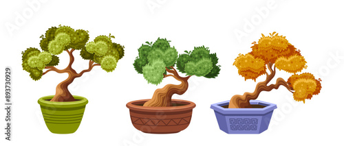Vector Illustration Of Three Bonsai Trees In Various Pots. The Trees Display Diverse Shapes, Colors, And Designs