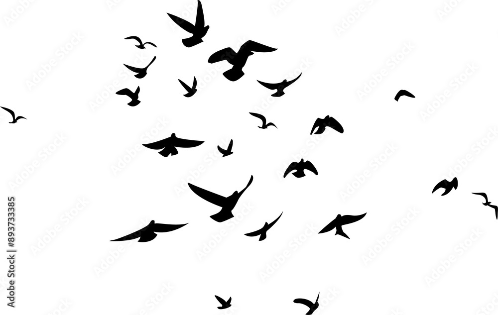 Fototapeta premium Flying birds silhouettes with transparent background