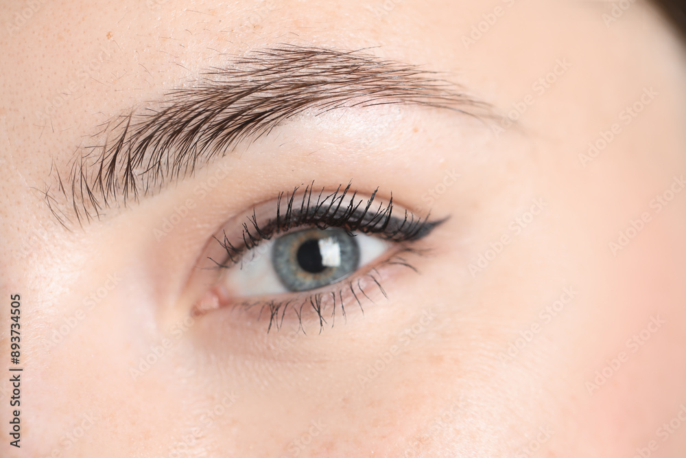 Young woman before eyebrow correction procedure, closeup Young woman before eyebrow correction procedure, closeup
