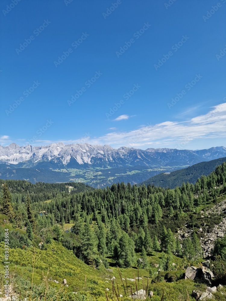 Fototapeta premium landscape in the mountains