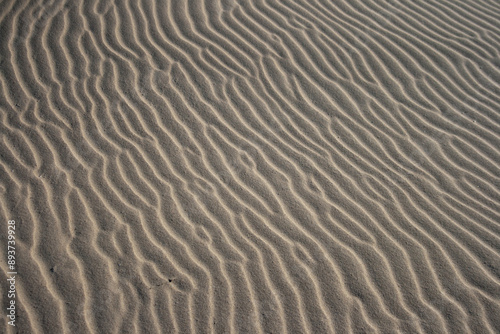 Düne an Nordseestrand, Verwehung, Sand