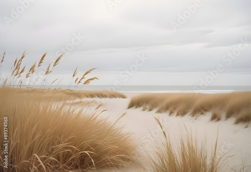 Pampas grass outdoor in light pastel colors. Dry reeds boho style