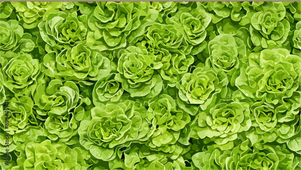 Fototapeta premium Seamless Lettuce Pattern Vector Illustration