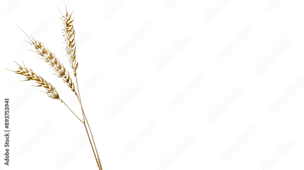 Enchanting Sunset Reflections Mesmerizing Stock Image of Golden Hour Beauty