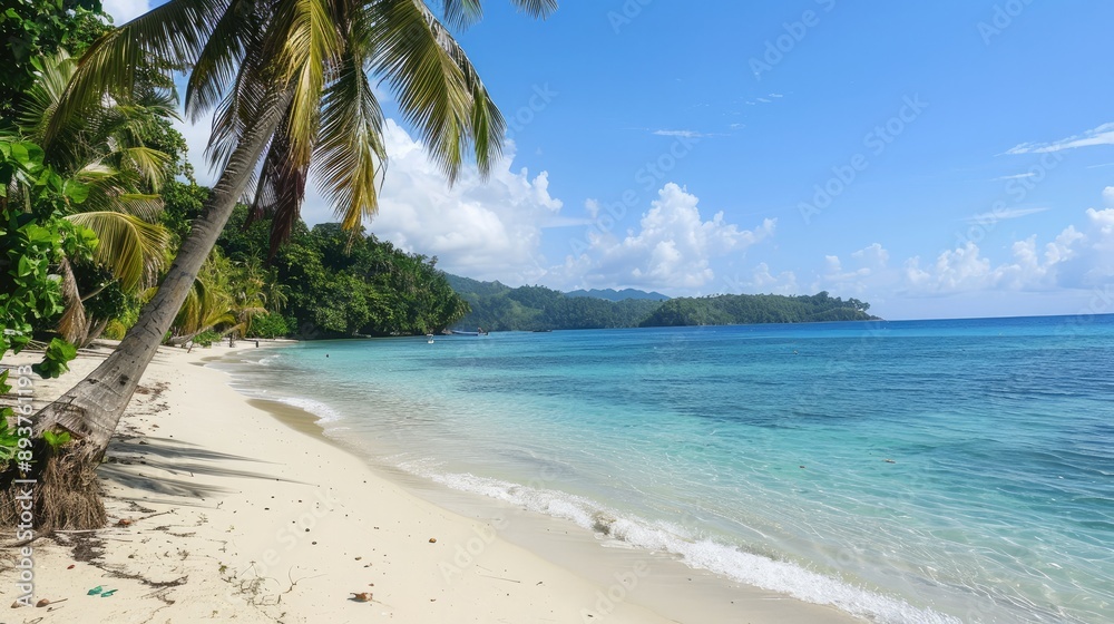 Peaceful beach with coconut palms, white sand, and blue sea. Peaceful beach with coconut palms, white sand, and blue sea.