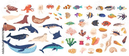 Vibrant Collection Of Illustrations Featuring Various Sea Creatures, Coral, Marine Flora. Whales, Dolphins, Fish, Seals