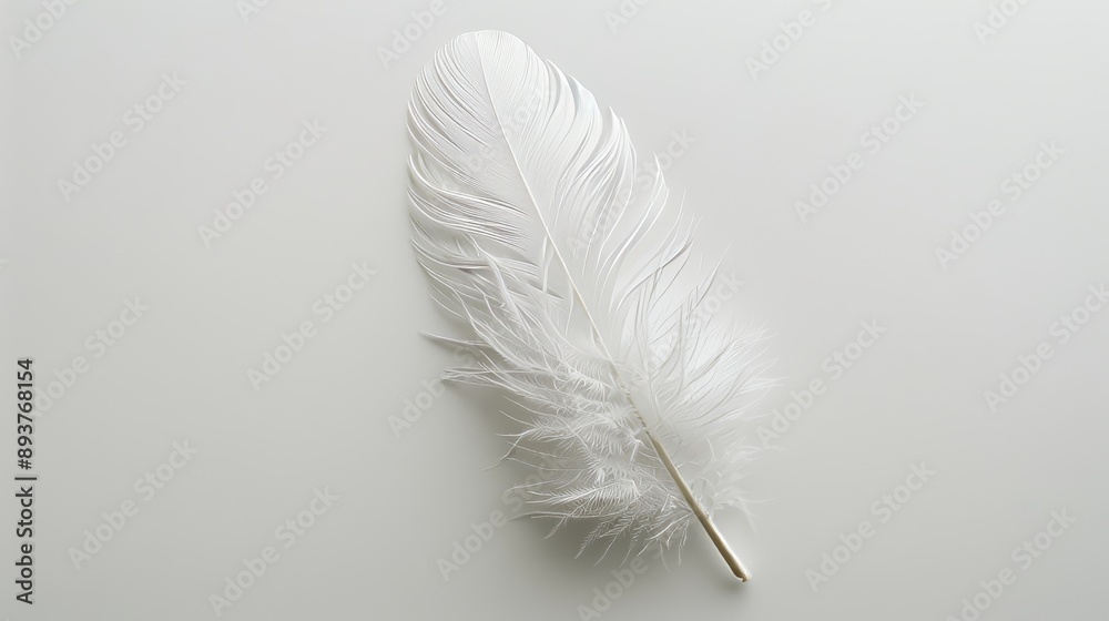 Feathered Serenity Embracing Minimalism and Lightness in a Captivating Image Feathered Serenity Embracing Minimalism and Lightness in a Captivating Image