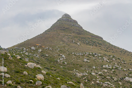 Cape Of Good Hope South Africa