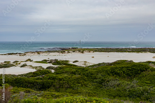 Cape Of Good Hope South Africa