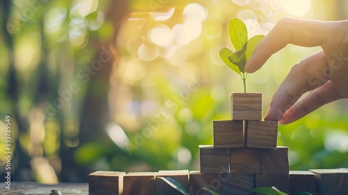 Building Blocks of Success