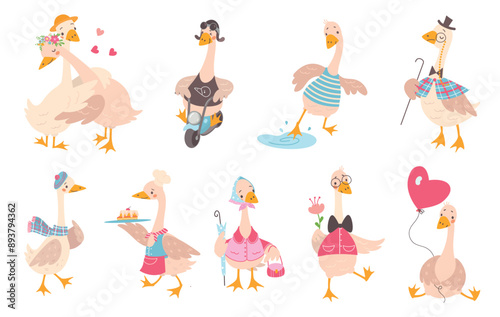 Cartoon geese. Cute goose driving motorbike and hugging, walking baking and touch water. Trending childish mascots, funny birds nowaday vector clipart