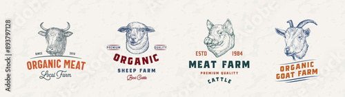 Beef and Pork Meat Badges Logo Templates Collection. Hand Drawn Domestic Animals Faces Sketches with Retro Typography. Vintage Engraving Emblems Design Set Isolated