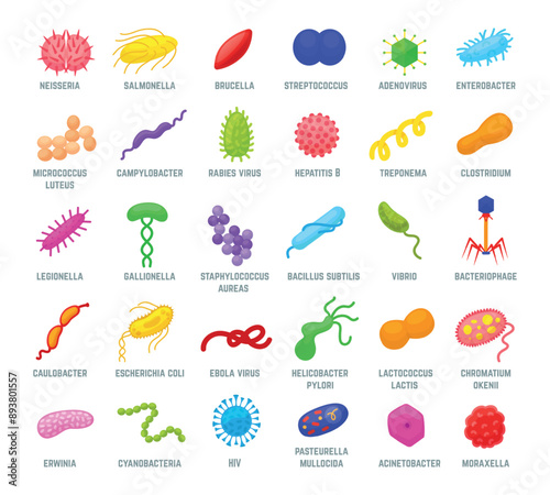 Bacterias and viruses. Various bacteria, microbe and virus icons. Biology and microbiology research elements, infection neoteric vector set