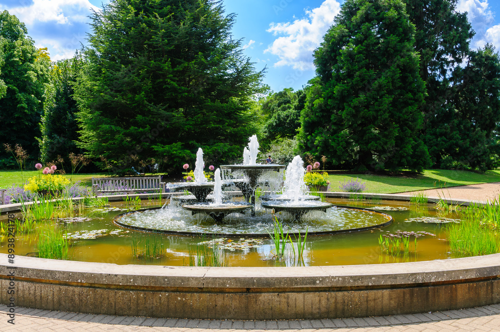 Fototapeta premium fountain in the park
