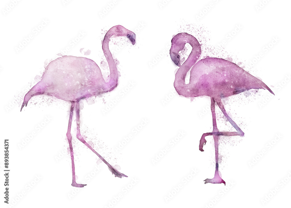 Obraz premium Watercolor illustrations of pink flamingos isolated with transparency